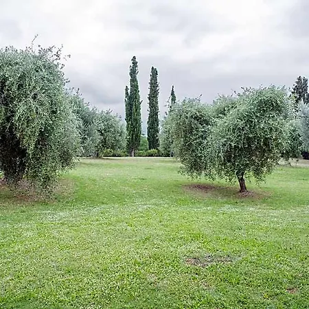 Βίλα Stankiewicz & Art Peccioli